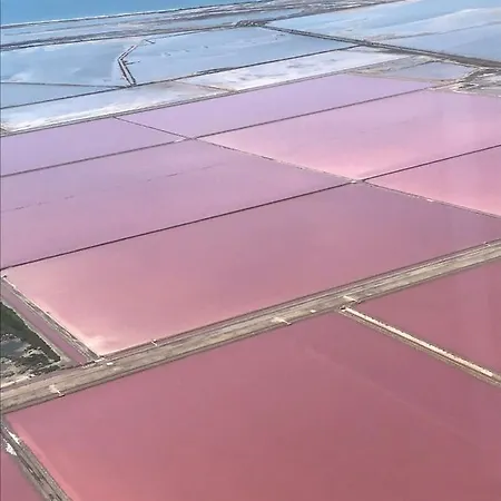 Lägenhet Cevennes Bessegeoises *